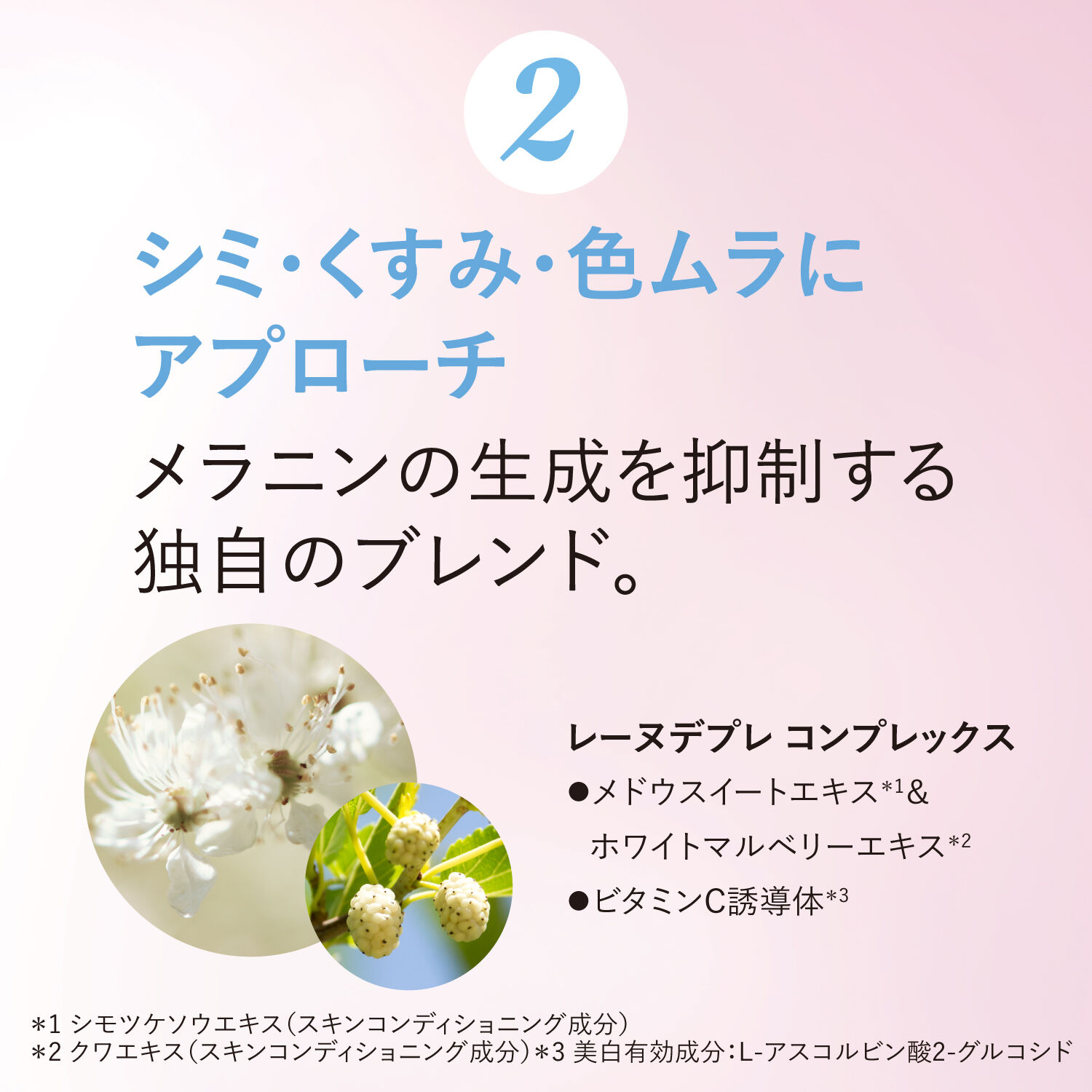L&rsquo;OCCITANE「レーヌデプレ ブライトモイスチャージェルクリーム ＜医薬部外品＞」|美容液・オイル・クリーム|
