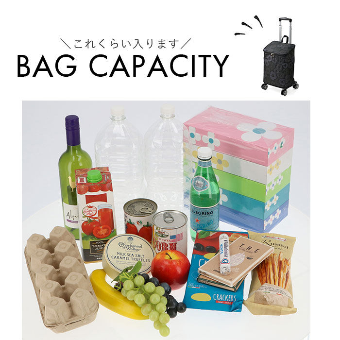 BACKYARD FAMILY「ショッピングカート 4輪 おしゃれ 通販 ショッピング キャリーバッグ ショッピングキャリー」|キャリーケース|