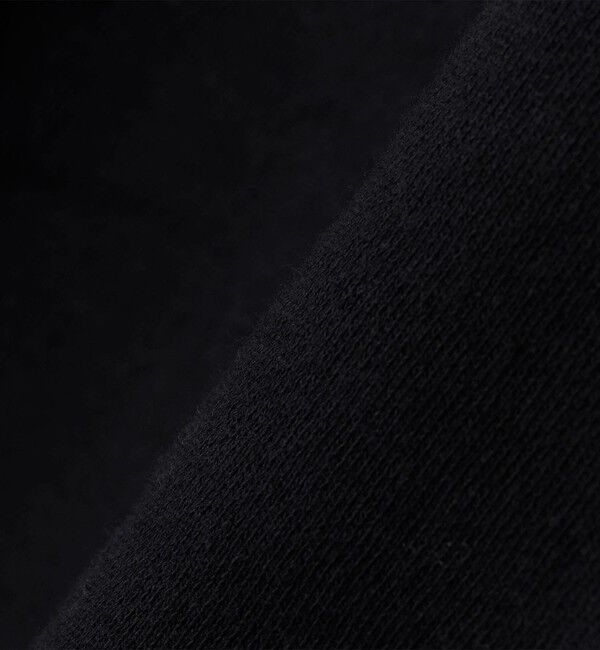 SHIPS「【WEB限定】SHIPS: SCREEN STARS(R) STYLISH STANDARD ロゴ 刺繍 パーカー」|パーカー|