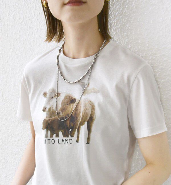 SHIPS for women「【SHIPS別注】ACASAM: フォト TEE」|Tシャツ・カットソー|