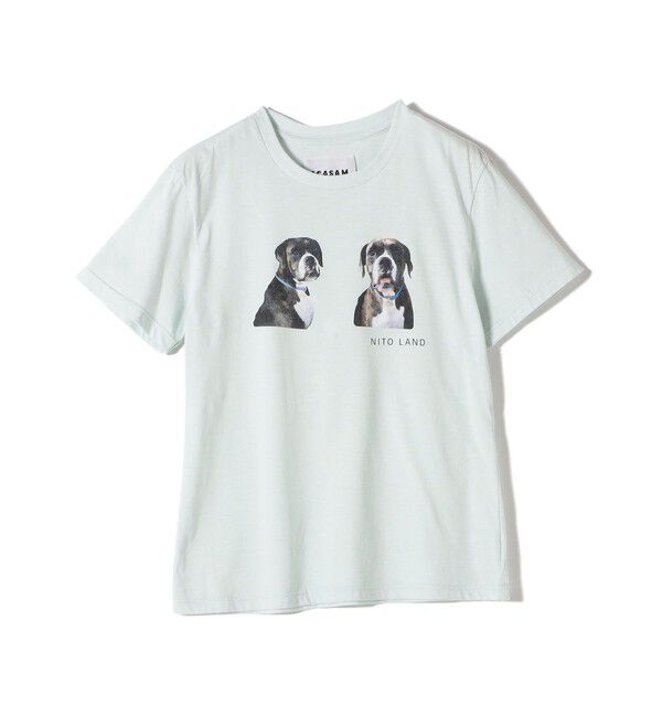 SHIPS for women「【SHIPS別注】ACASAM: フォト TEE」|Tシャツ・カットソー|