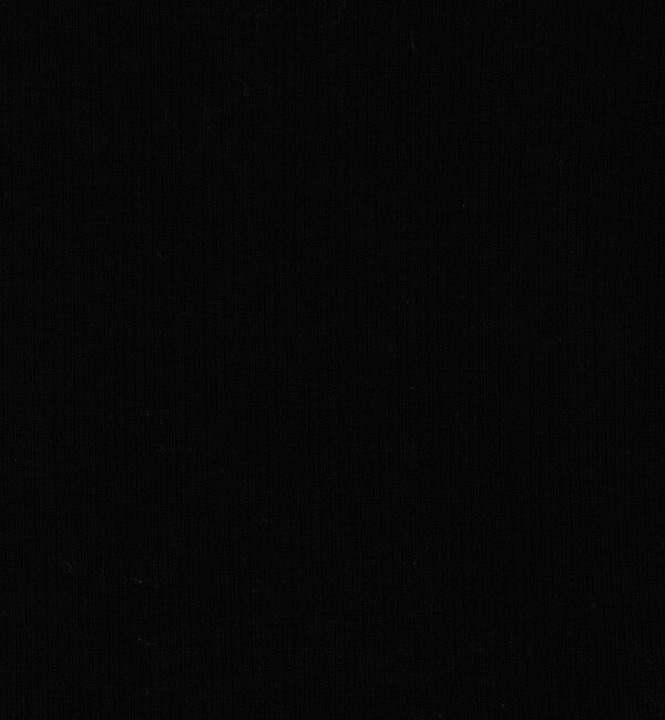 DES PRES「ウーステッドウールファインリブ Vネックプルオーバー」|ニット・セーター|