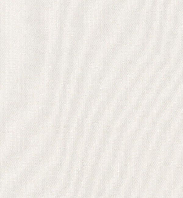 NOLLEY'S「【MD 二見☆別注】oversized cotton T-shirt」|Tシャツ・カットソー|