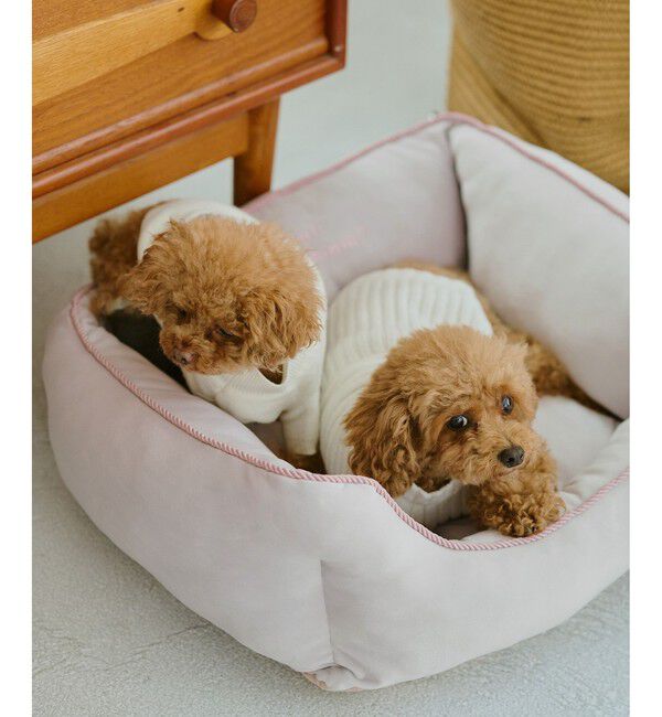 ROPE PICNIC PASSAGE「【DOG】もちもちベッド」|その他|