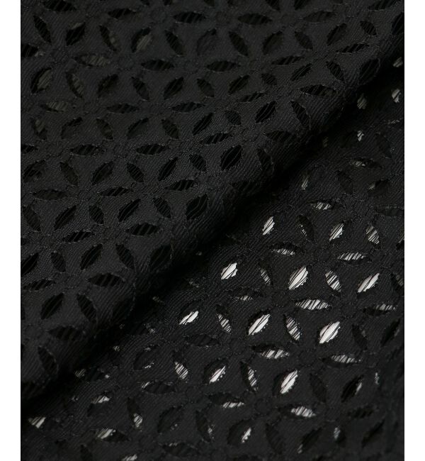 le.coeur blanc「《手洗い可能》TORRAZZO DONNA 別注レースブラウス」|シャツ・ブラウス|