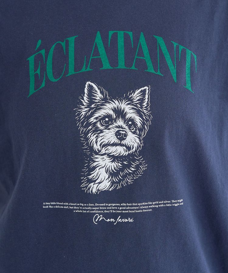 earth music&ecology「【接触冷感】アソートリンガーTシャツ」|Tシャツ・カットソー|