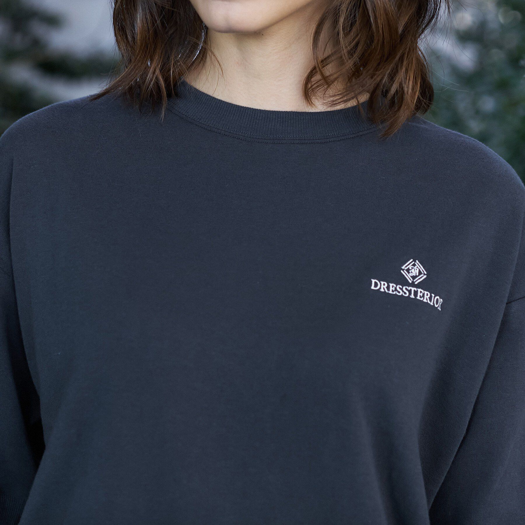 DRESSTERIOR「【セットアップ可/ウォッシャブル】ストレッチ裏毛ハーフスリーブプルオーバー」|Tシャツ・カットソー|