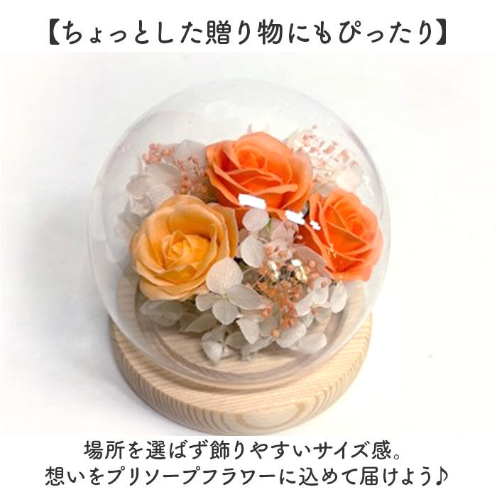 BACKYARD FAMILY「ブリザードフラワ- 通販 ガラスドーム フラワーギフト ガラス製 お花 花 フラワーアレンジメント」|その他|