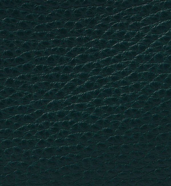 TOMORROWLAND GOODS「TOMORROWLAND シュリンクレザー ミニショルダーバッグ」|ショルダー・メッセンジャー|