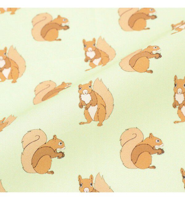 Demi-Luxe BEAMS 「Dieffe Kinloch / リス ピスタチオ ハンカチ」|ハンカチ|