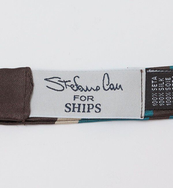 SHIPS「【SHIPS別注】Stefano Cau: シルク レジメンタル ボウタイ」|ネクタイ・蝶ネクタイ|