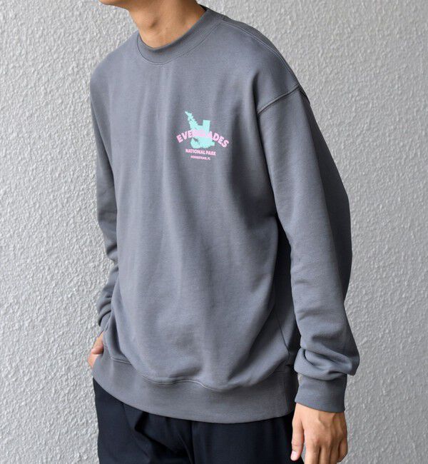 SHIPS any「【WEB限定】SHIPS any: NATIONAL PARK プリント スウェット 25AW(ユニセックス)◇」|スウェット・ジャージ|