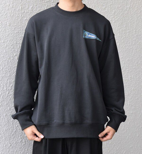 SHIPS any「【WEB限定】SHIPS any: NATIONAL PARK プリント スウェット 25AW(ユニセックス)◇」|スウェット・ジャージ|