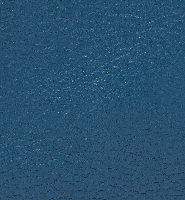 TOMORROWLAND GOODS「TOMORROWLAND シュリンクレザー ミニショルダーバッグ」|ショルダー・メッセンジャー|