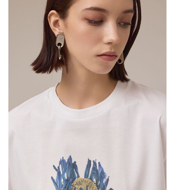 Diagram「カットフォトTシャツ」|Tシャツ・カットソー|