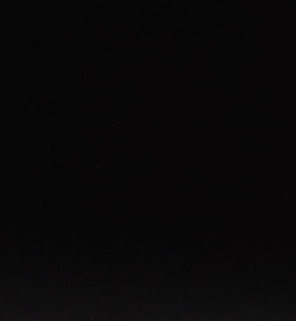 TOMORROWLAND GOODS「PIENI SULKA L PVC&times;ピッグレザー 2WAYトートバッグ」|トートバッグ|