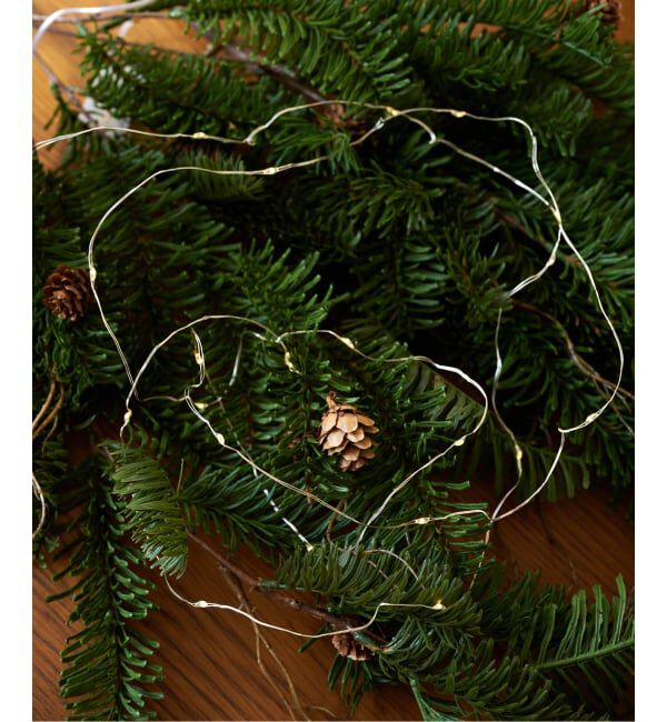 journal standard Furniture「XM 20BALLS WIRE RICE LIGHT　LEDデコレーション ライト」|その他|ホワイト