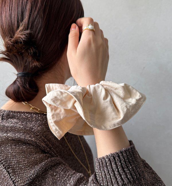  「ビッグシュシュ」|その他|