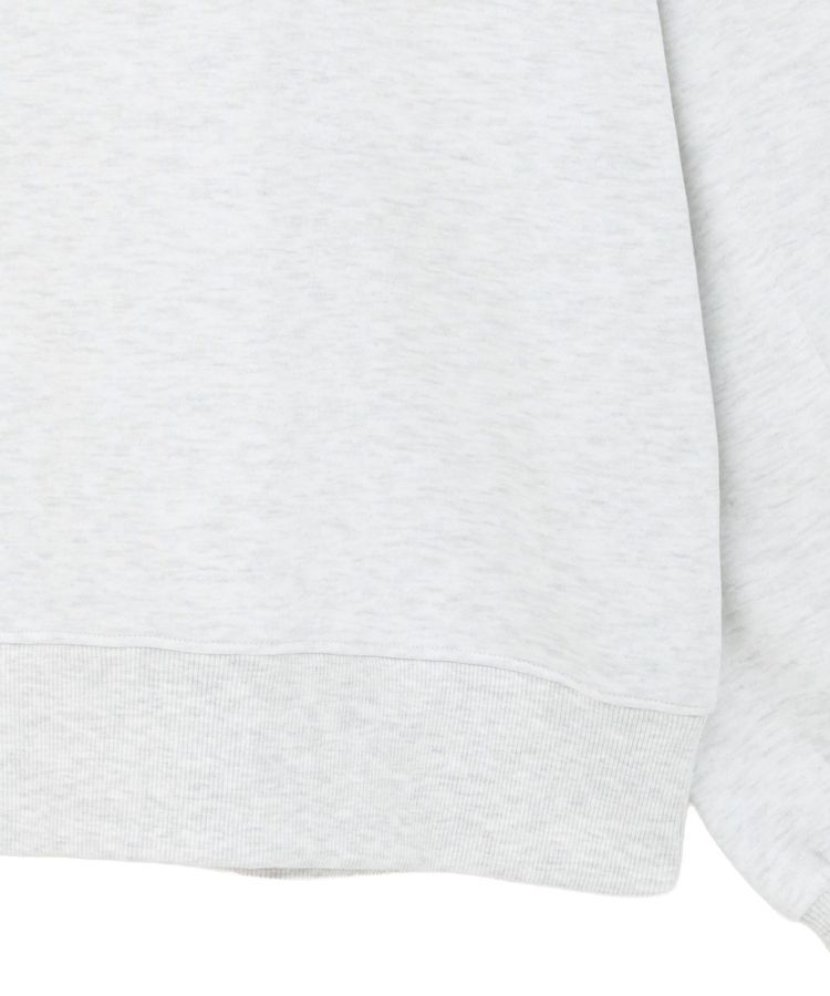 AMERICAN HOLIC「カレッジロゴ裏起毛プルオーバー」|スウェット・ジャージ|