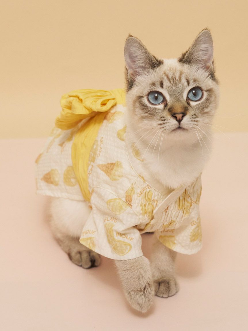  GELATO PIQUE CAT&DOG「【CAT&DOG】浴衣」|その他|