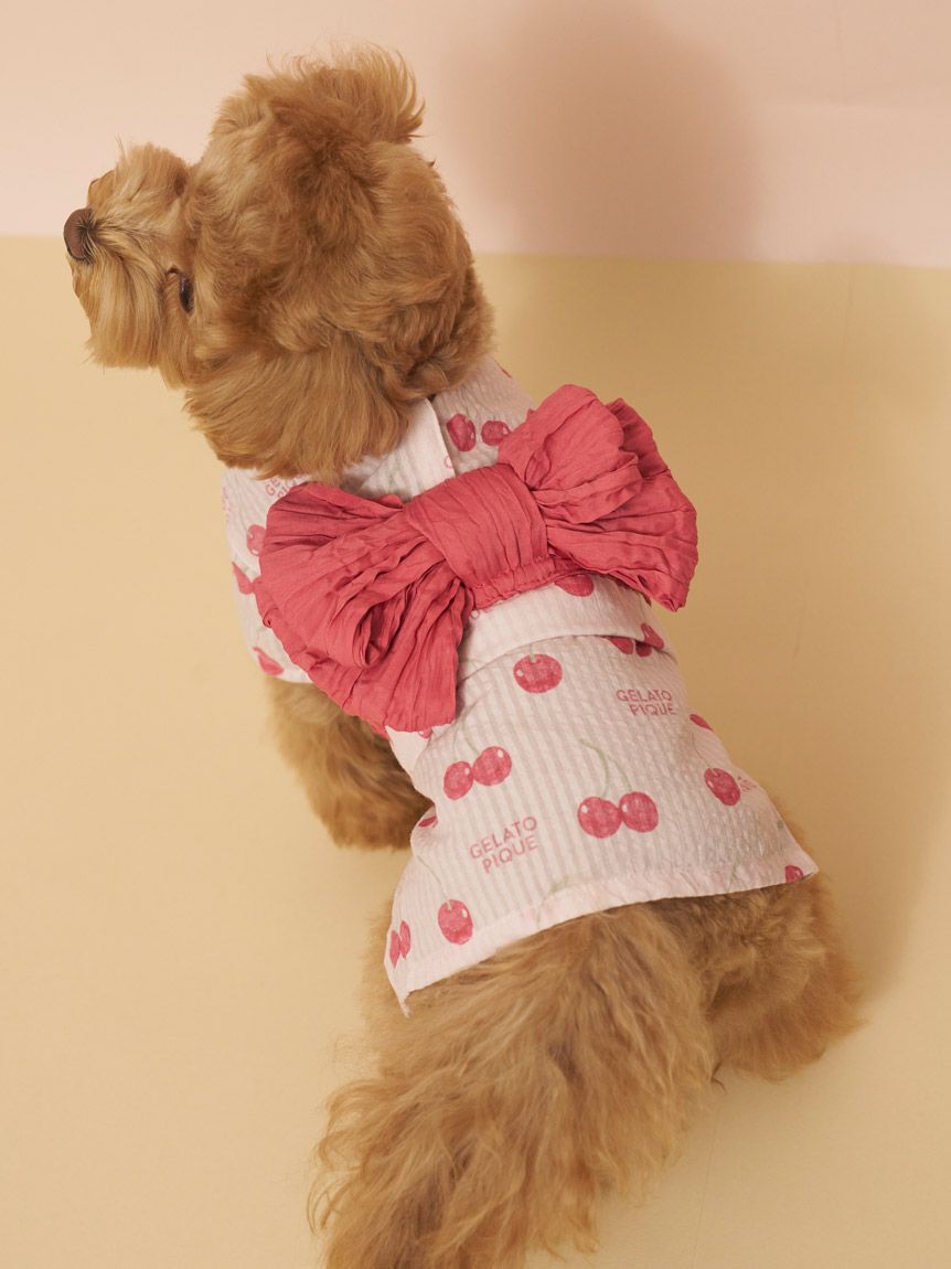  GELATO PIQUE CAT&DOG「【CAT&DOG】浴衣」|その他|