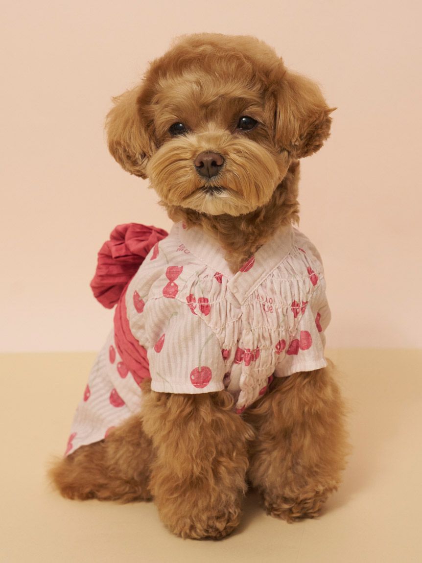  GELATO PIQUE CAT&DOG「【CAT&DOG】浴衣」|その他|