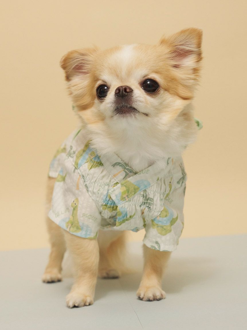  GELATO PIQUE CAT&DOG「【CAT&DOG】浴衣」|その他|