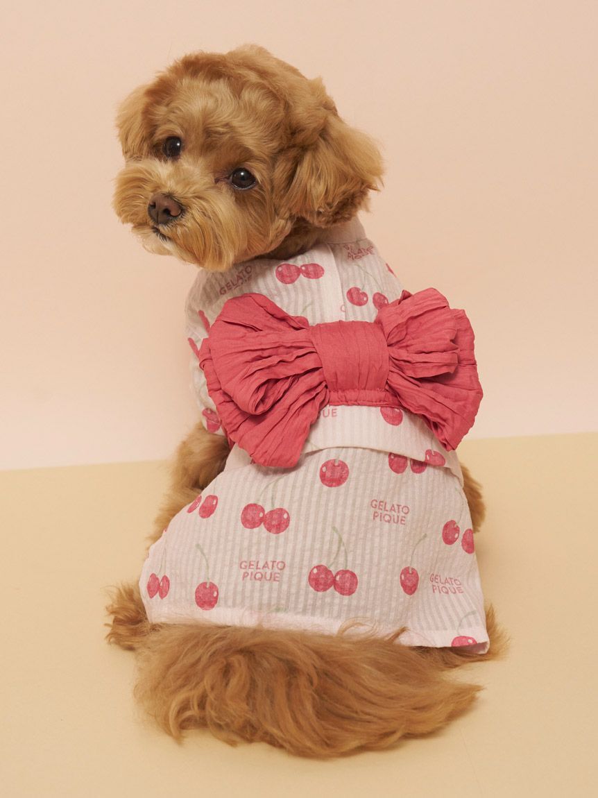  GELATO PIQUE CAT&DOG「【CAT&DOG】浴衣」|その他|PNK