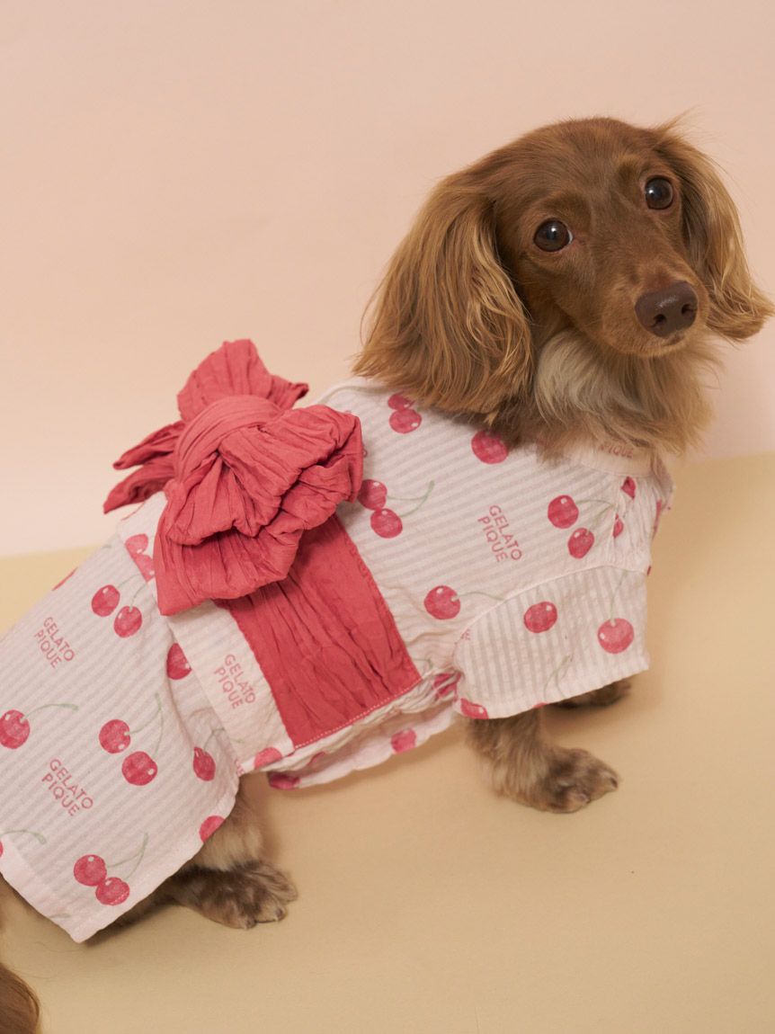  GELATO PIQUE CAT&DOG「【CAT&DOG】ダックスフンドサイズ浴衣」|その他|