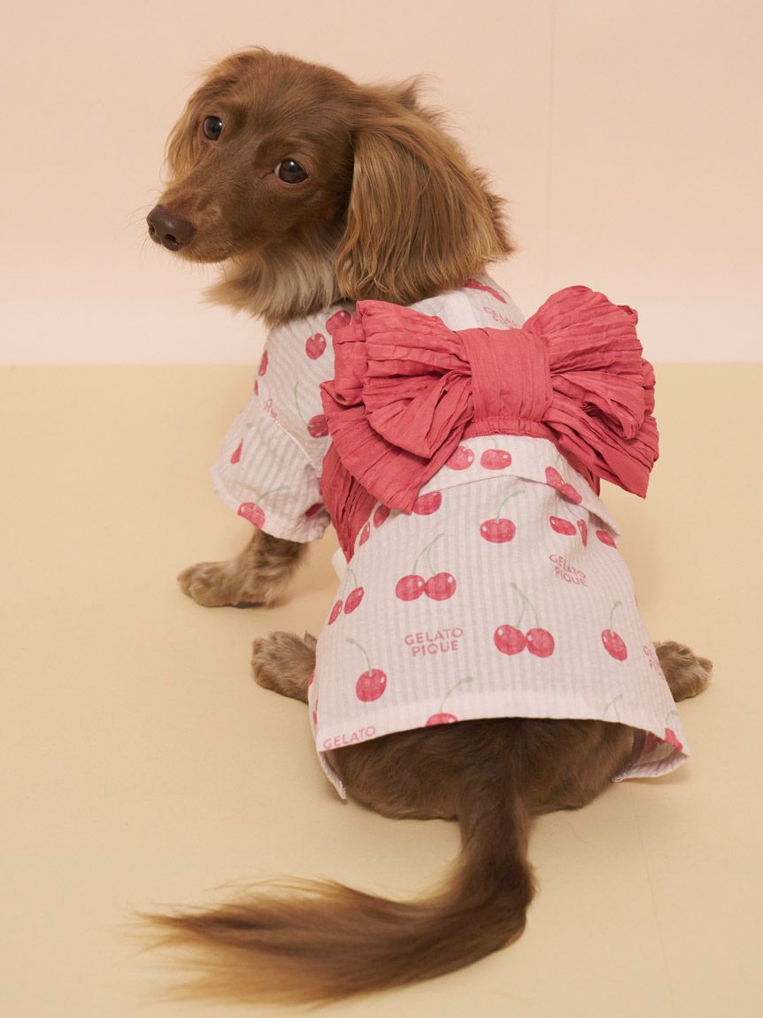  GELATO PIQUE CAT&DOG「【CAT&DOG】ダックスフンドサイズ浴衣」|その他|