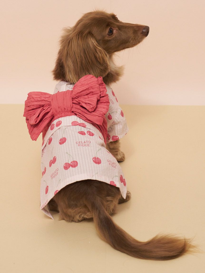 GELATO PIQUE CAT&DOG「【CAT&DOG】ダックスフンドサイズ浴衣」|その他|