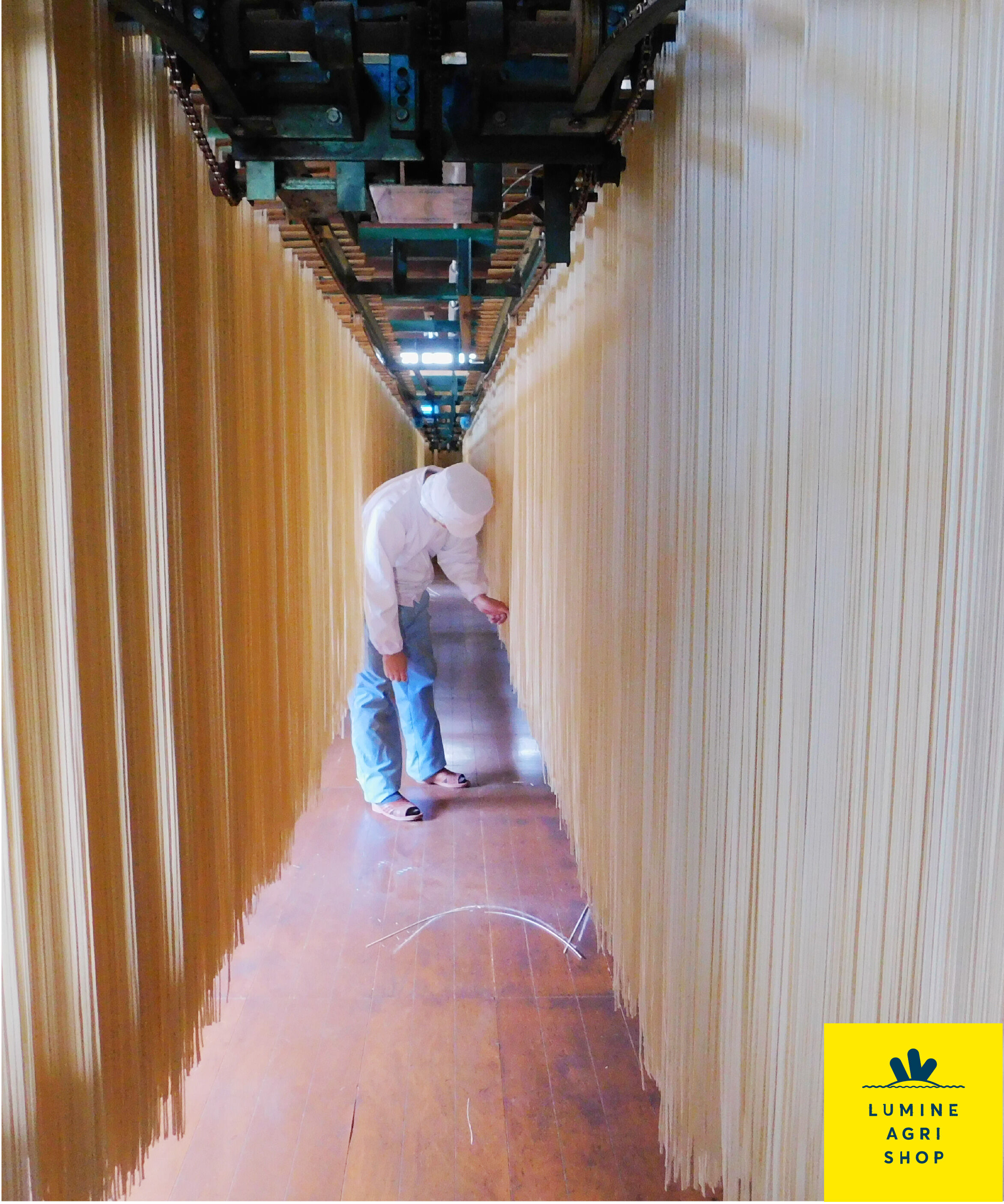 LUMINE AGRI SHOP「月山黒米うどん　18袋」|麺類|