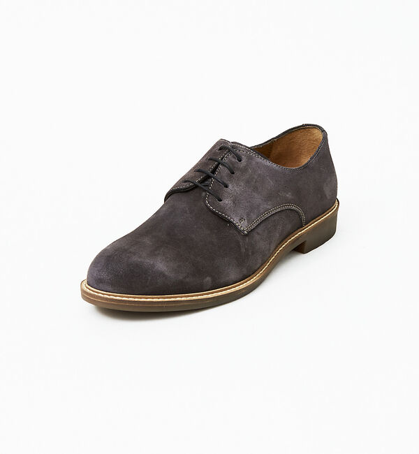 alfredoBANNISTER「【SHOO IN SHOE】スエード ダービーシューズ 一部店舗＋WEB限定」|その他|グレー
