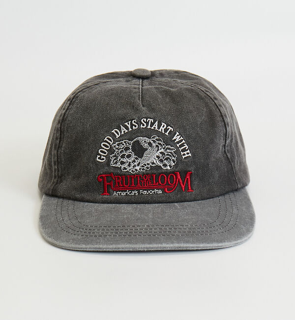 Rouge vif「【FRUIT OF THE LOOM/フルーツ・オブ・ザ・ルーム】PIGMENT」|その他|