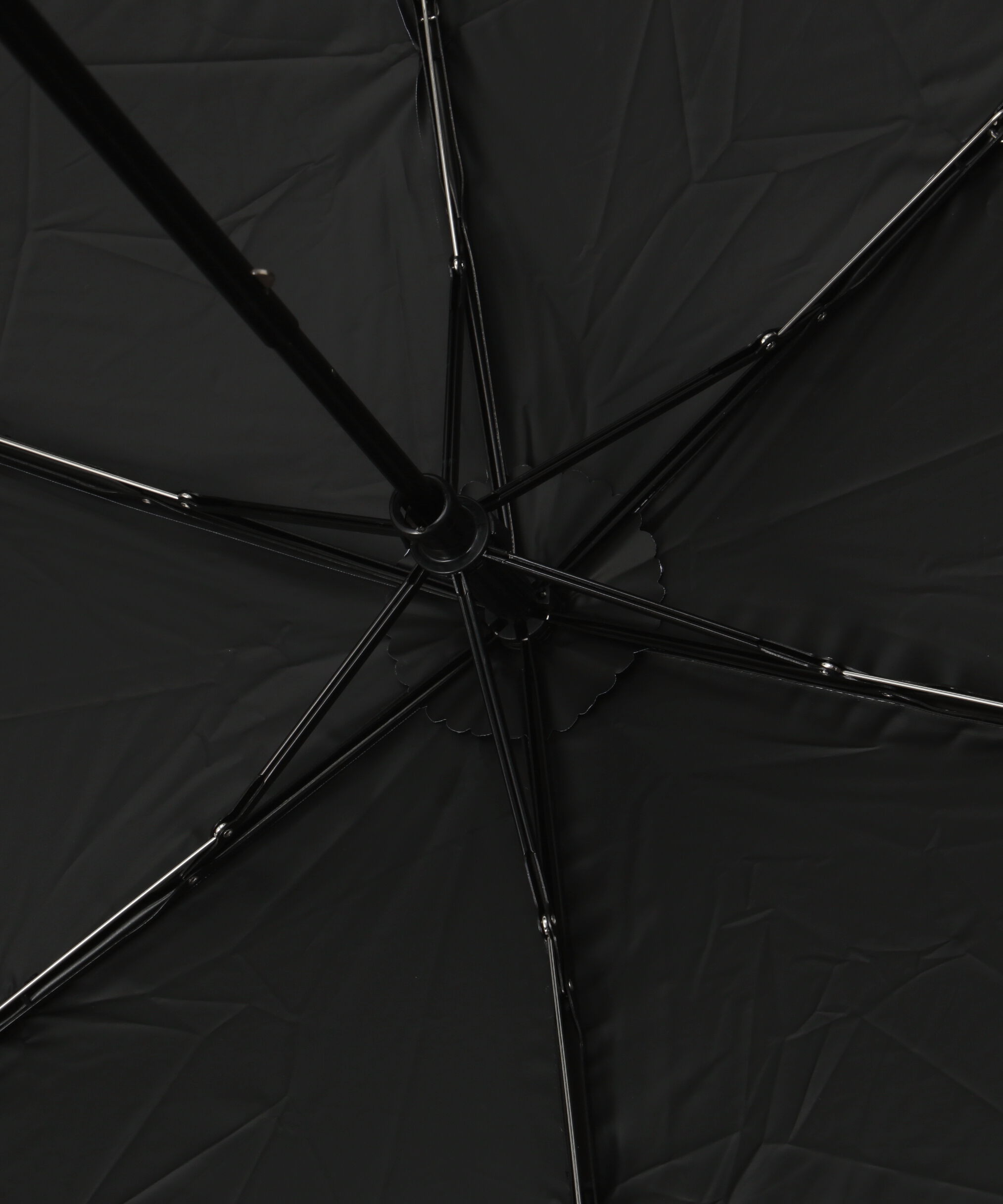 PROPORTION BODY DRESSING「晴雨兼用リボン折り畳みアンブレラ」|その他|