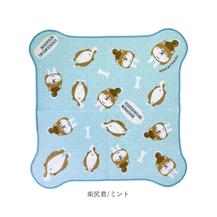 BACKYARD FAMILY「包んでクロス 通販 クロス マイクロファイバー タオル インナーバッグ インバッグ」|タオル|