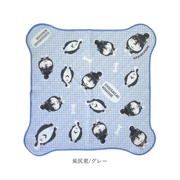 BACKYARD FAMILY「包んでクロス 通販 クロス マイクロファイバー タオル インナーバッグ インバッグ」|タオル|