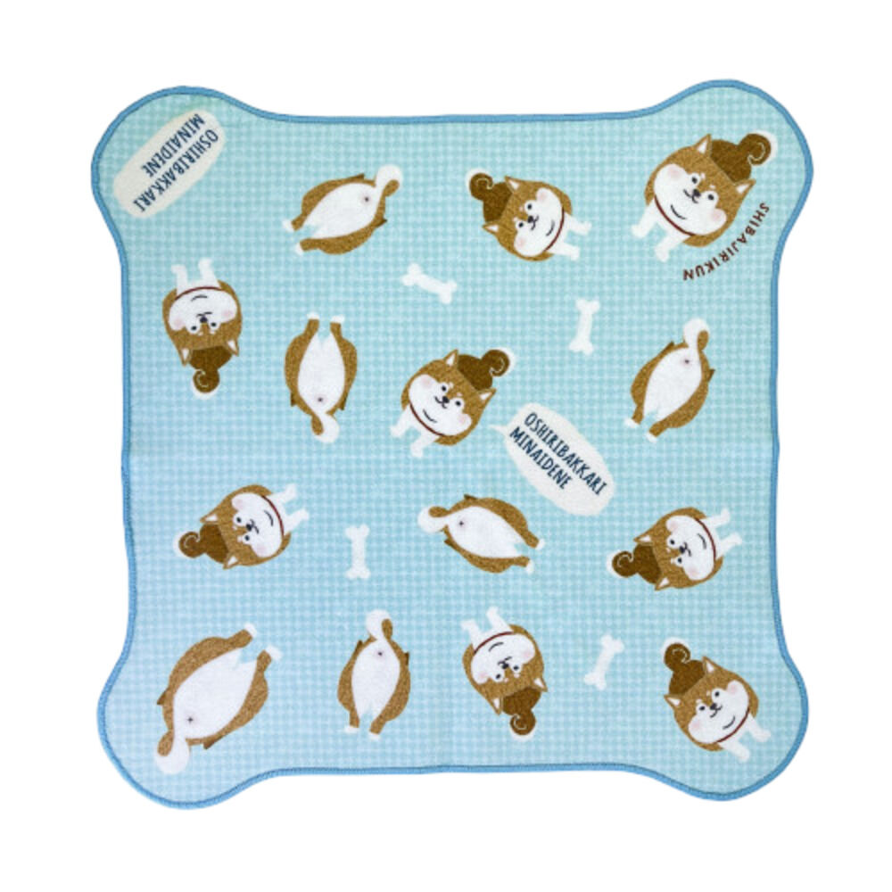 BACKYARD FAMILY「包んでクロス 通販 クロス マイクロファイバー タオル インナーバッグ インバッグ」|タオル|グリーン1