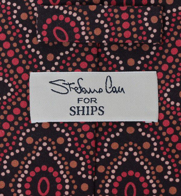 SHIPS「【SHIPS別注】Stefano cau: ペイズリー プリント ネクタイ」|ネクタイ・蝶ネクタイ|