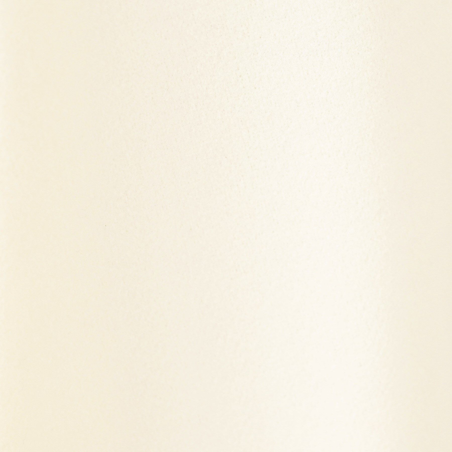 Dessin「メルトンジャージフレアスカート」|スカート|