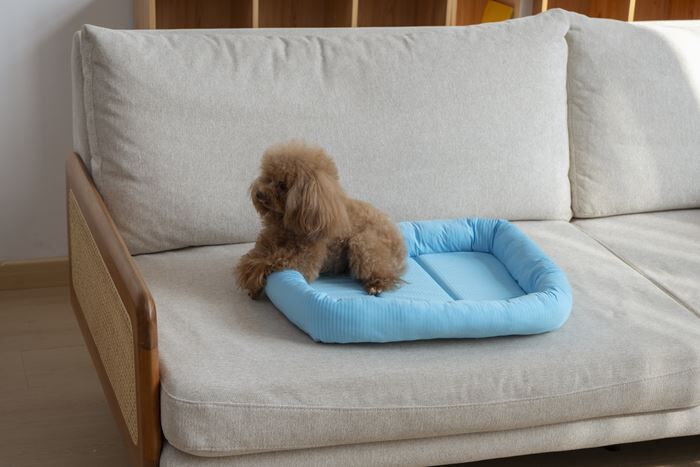 BACKYARD FAMILY「ペットベット ひんやり 通販 スクエアペットベッド スクエア クールパッド ペットマット」|その他|