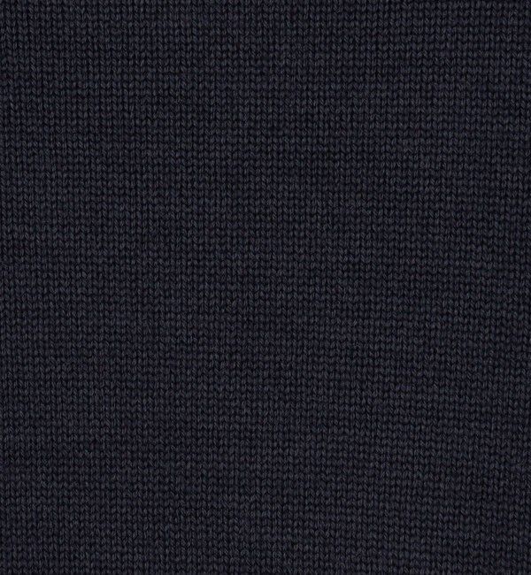 BACCA「【一部WEB限定】エクストラファインメリノウール クルーネックプルオーバー」|ニット・セーター|