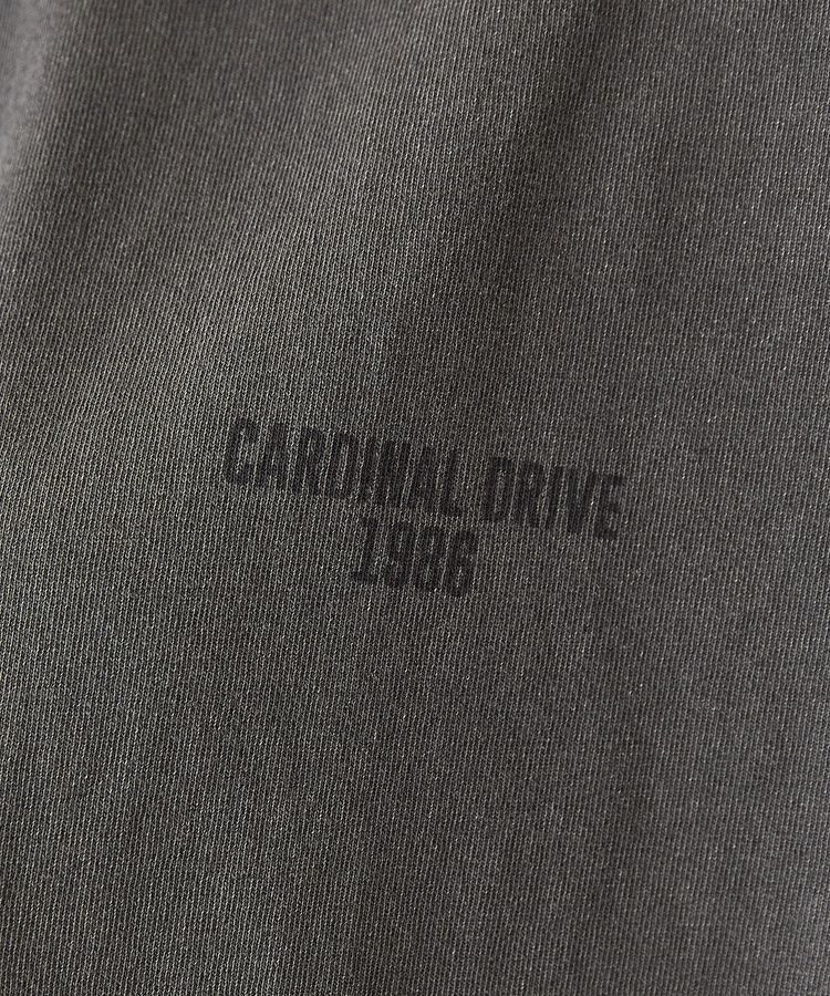 AMERICAN HOLIC「バックロゴルーズTシャツ」|Tシャツ・カットソー|