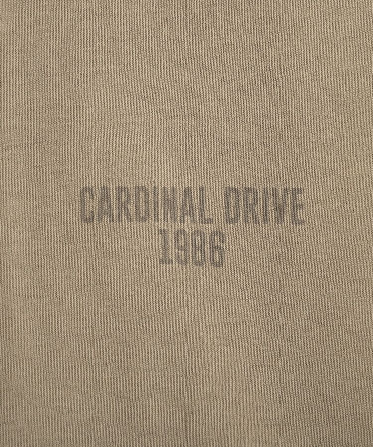 AMERICAN HOLIC「バックロゴルーズTシャツ」|Tシャツ・カットソー|