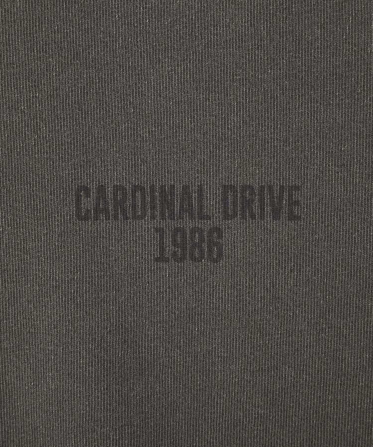 AMERICAN HOLIC「バックロゴルーズTシャツ」|Tシャツ・カットソー|