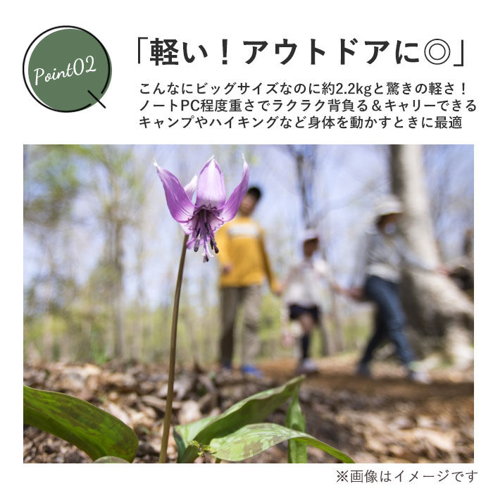 BACKYARD FAMILY「swan スワン リュック 3WAY キャリー リュックサック 通販 キャリーバッグ 2輪」|リュック|