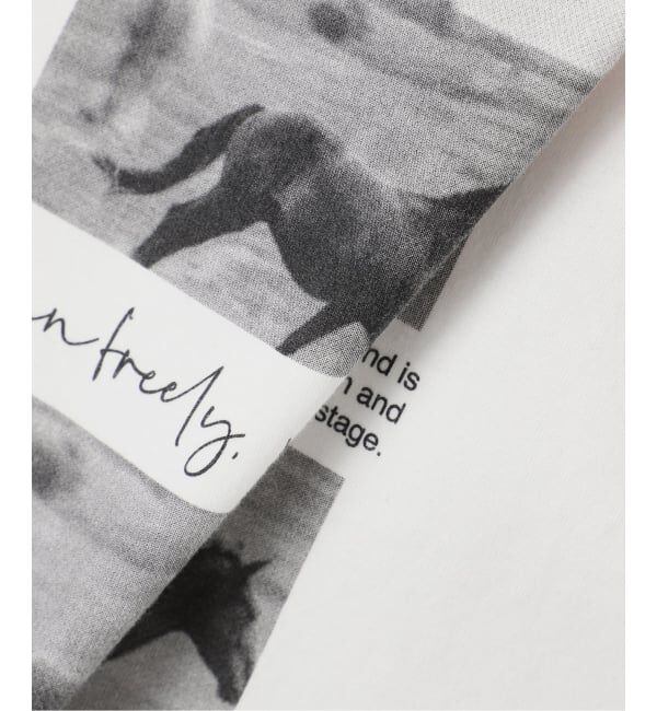 FRAMeWORK「ホースフォトロングTシャツ」|Tシャツ・カットソー|