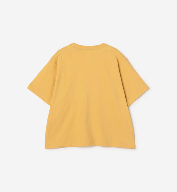 DANTON「DANTON | コットン天竺 ショートTシャツ SOLID WOMEN」|Tシャツ・カットソー|