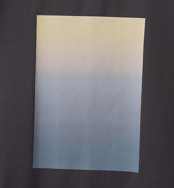 ABAHOUSE「グラデーション グラフィック プリントTシャツ/オーバーサイズ」|Tシャツ・カットソー|