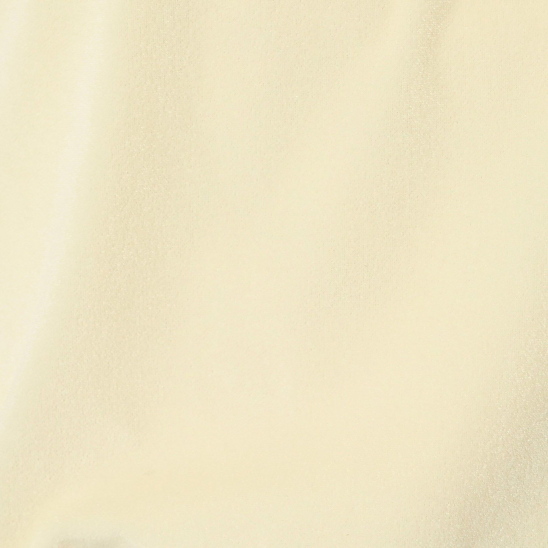 Dessin「【洗える】シアーベロアトップス」|Tシャツ・カットソー|